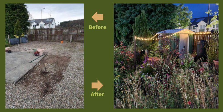 Photos showing the empty gravel garden then the transformed flower garden with lighting