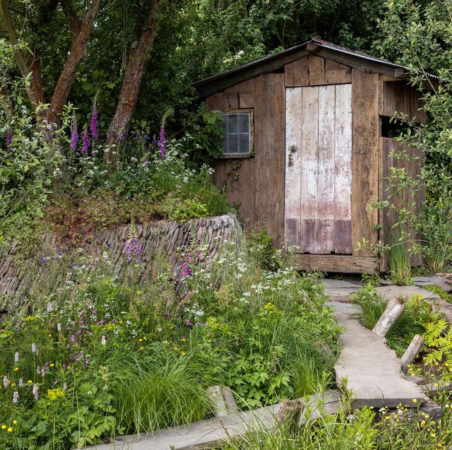 See Mothers for Mothers garden Polly Wilkinson All About Plants Show gardens  at RHS Chelsea Flower Show 2022 / RHS Gardening